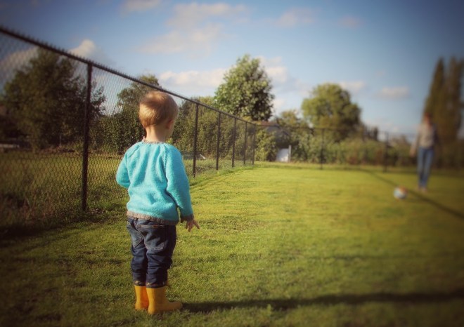 appelblauwzeegroene herfsttrui (5).jpg