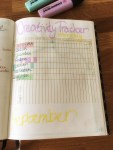 bullet journal (3)
