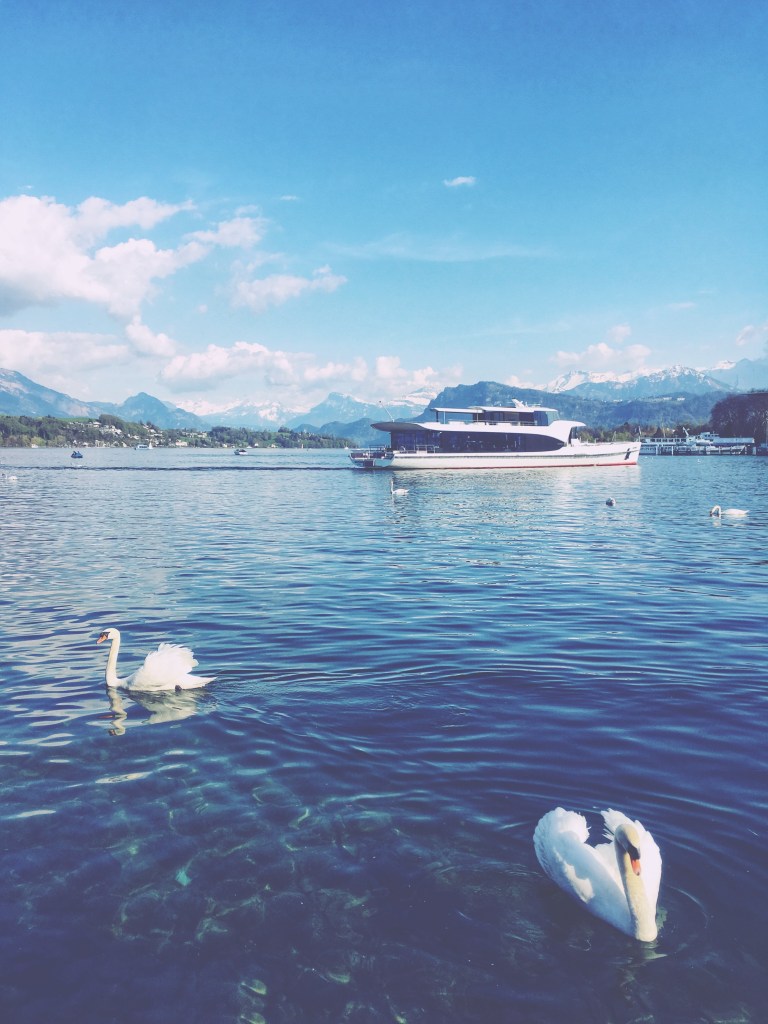 Luzern business trip